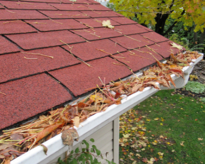 Roofing-Welland-Cleaning-and-Maintaining-Roofing-System-Gutters-gutter-with-lots-of-leaves-and-pine-needles